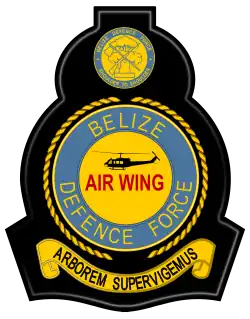 Znak leteckého křídla