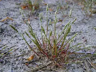 alternativní popis obrázku chybí