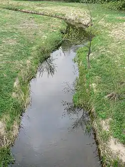 Aisė ve vsi Pėžaičiai