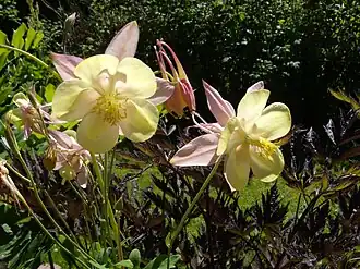 alternativní popis obrázku chybí