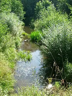 Akmenynas u vsi Dungeriai