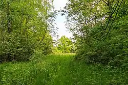 Akropole hradiště Na hradě u Chrudimi 07.jpg