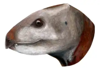 popis obrázku chybí