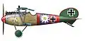 Albatros D.V náležící Paulu Bäumerovi, z Jagdstaffel 5