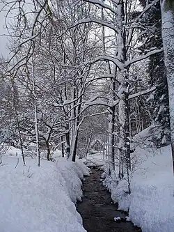 Albeřický potok v zimě