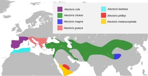 Areál rozšíření