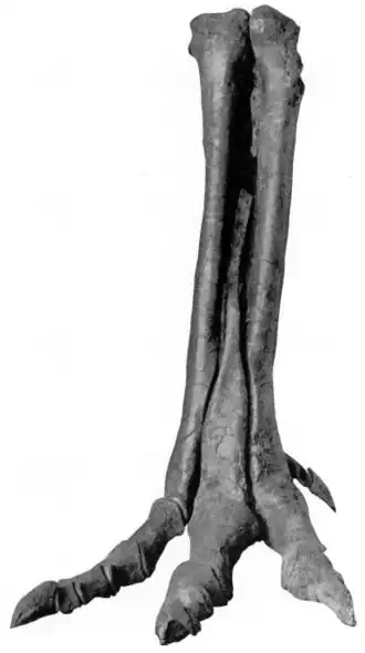 alternativní popis obrázku chybí