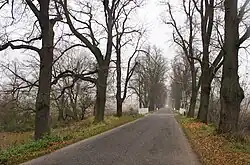 alej v listopadu 2011