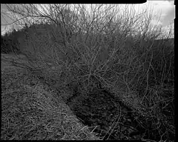 Aleš Jungmann: snímek z cyklu Krajina, 1994–1997