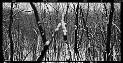 Aleš Jungmann: snímek z cyklu Krajina, 1994–1997