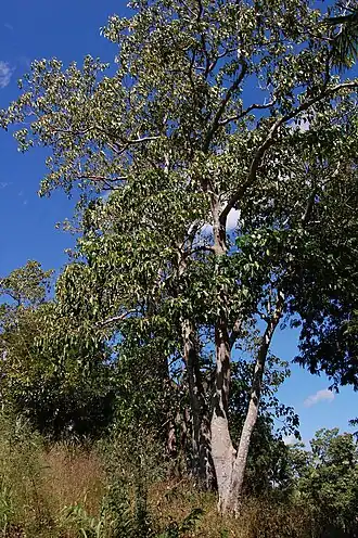 alternativní popis obrázku chybí