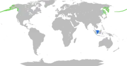 Areál rozšíření