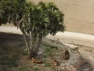 alternativní popis obrázku chybí