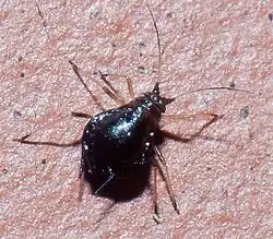 alternativní popis obrázku chybí