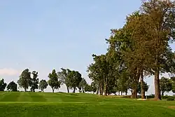 Alfrédovská alej v roce 2013