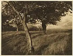 Alfred Horsley Hinton: Beyond, Camera Work č. 11, 1905