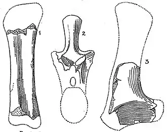 alternativní popis obrázku chybí