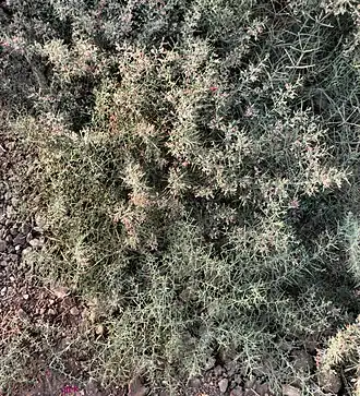 alternativní popis obrázku chybí