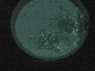 popis obrázku chybí