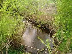 Alkupis ze silnice č. 2008 Krekenava – Tiskūnai – Kėdainiai u vsi Apytalaukis