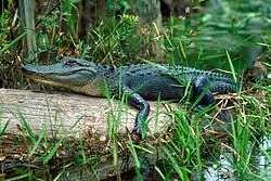 alternativní popis obrázku chybí