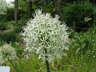 alternativní popis obrázku chybí