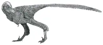 alternativní popis obrázku chybí