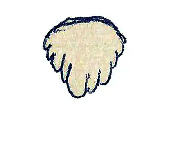 alternativní popis obrázku chybí