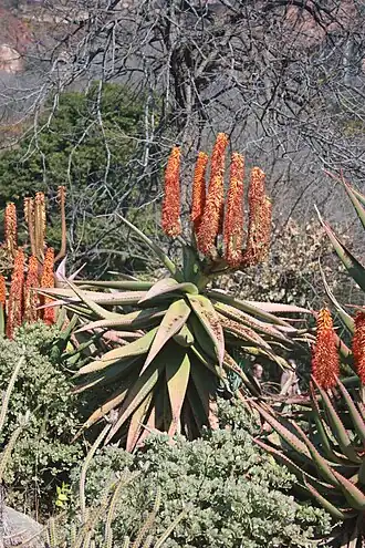 alternativní popis obrázku chybí