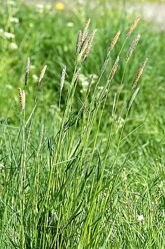 alternativní popis obrázku chybí