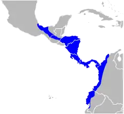 Rozšíření vřešťana pláštíkového (modře)