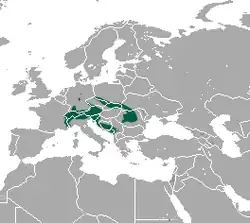 rozšíření rejska horského