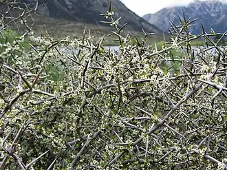 alternativní popis obrázku chybí