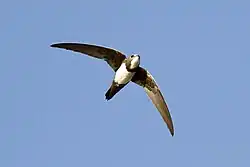 alternativní popis obrázku chybí