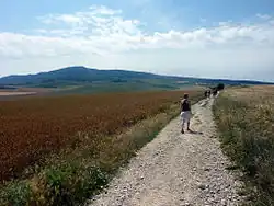 Severní strana hřebenu