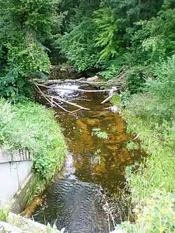 řeka ze silnice č. 229 Kėdainiai - Josvainiai - dálnice A1