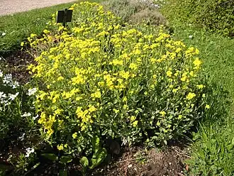 alternativní popis obrázku chybí