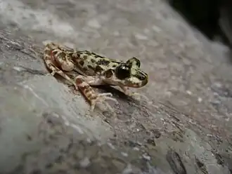 alternativní popis obrázku chybí