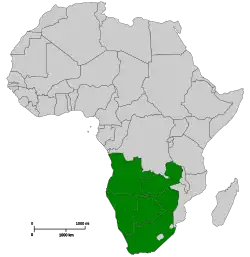 Areál rozšíření