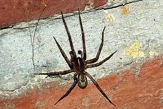 alternativní popis obrázku chybí