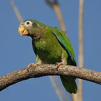 alternativní popis obrázku chybí