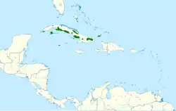 Areál rozšíření