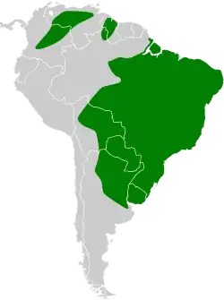 Areál rozšíření