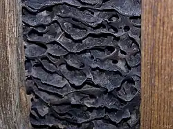 Komůrky z „dřevobetonu“