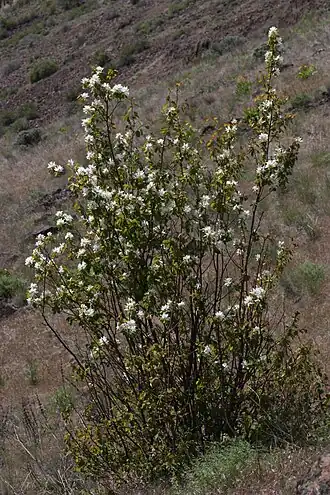 alternativní popis obrázku chybí