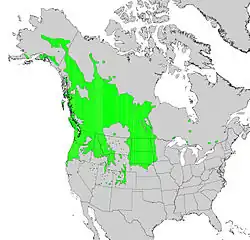 Areál rozšíření