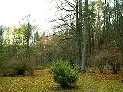 Vchod do Americké zahrady