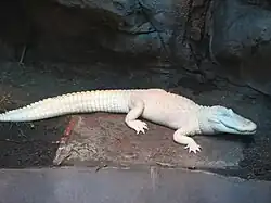 alternativní popis obrázku chybí