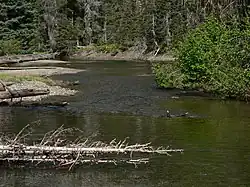 Řeka American v divočině Williama O. Douglase.