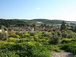 Celkový pohled na Amikam